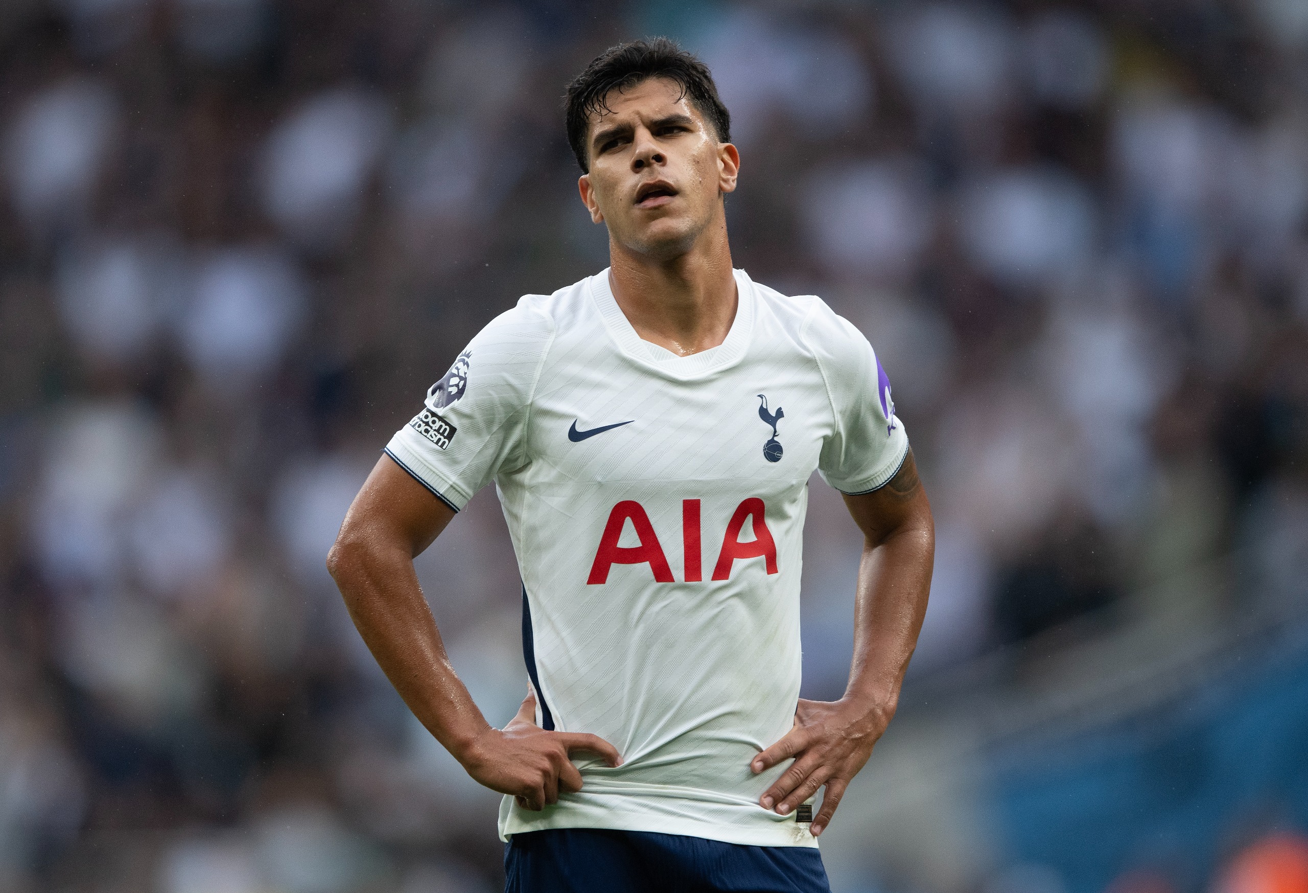 Mateus Fernandes has had a difficult start to life at Spurs