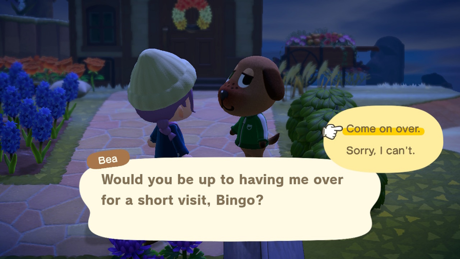 Animal Crossing: New Horizons