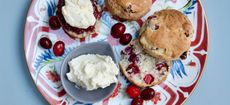 Cranberry scones