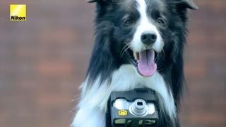 A screenshot of the Nikon Heartography ad with a dog taking pictures using a compact camera