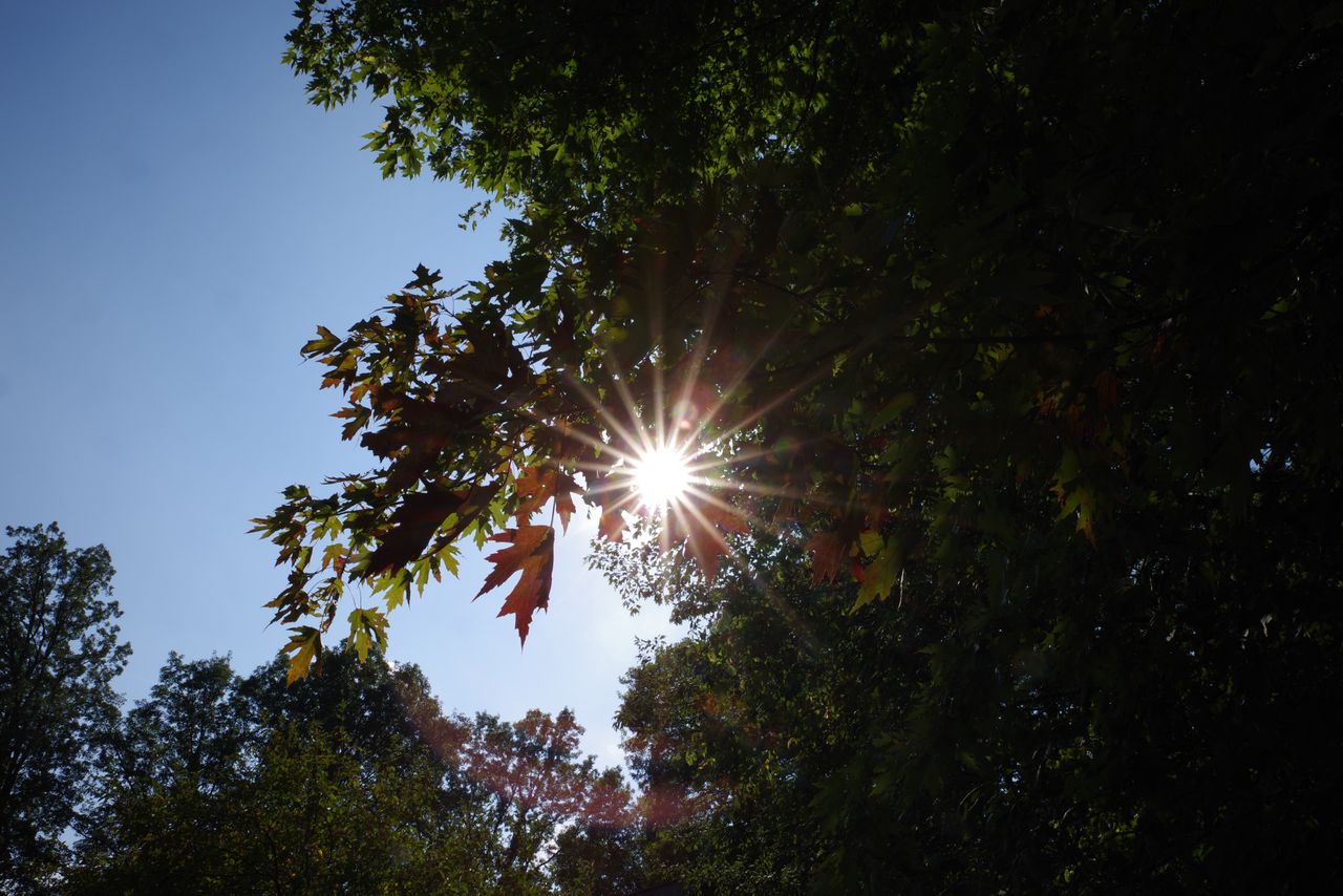 Sample images from the Pentax-D FA 24-70mm f/2.8 ED SDM WR