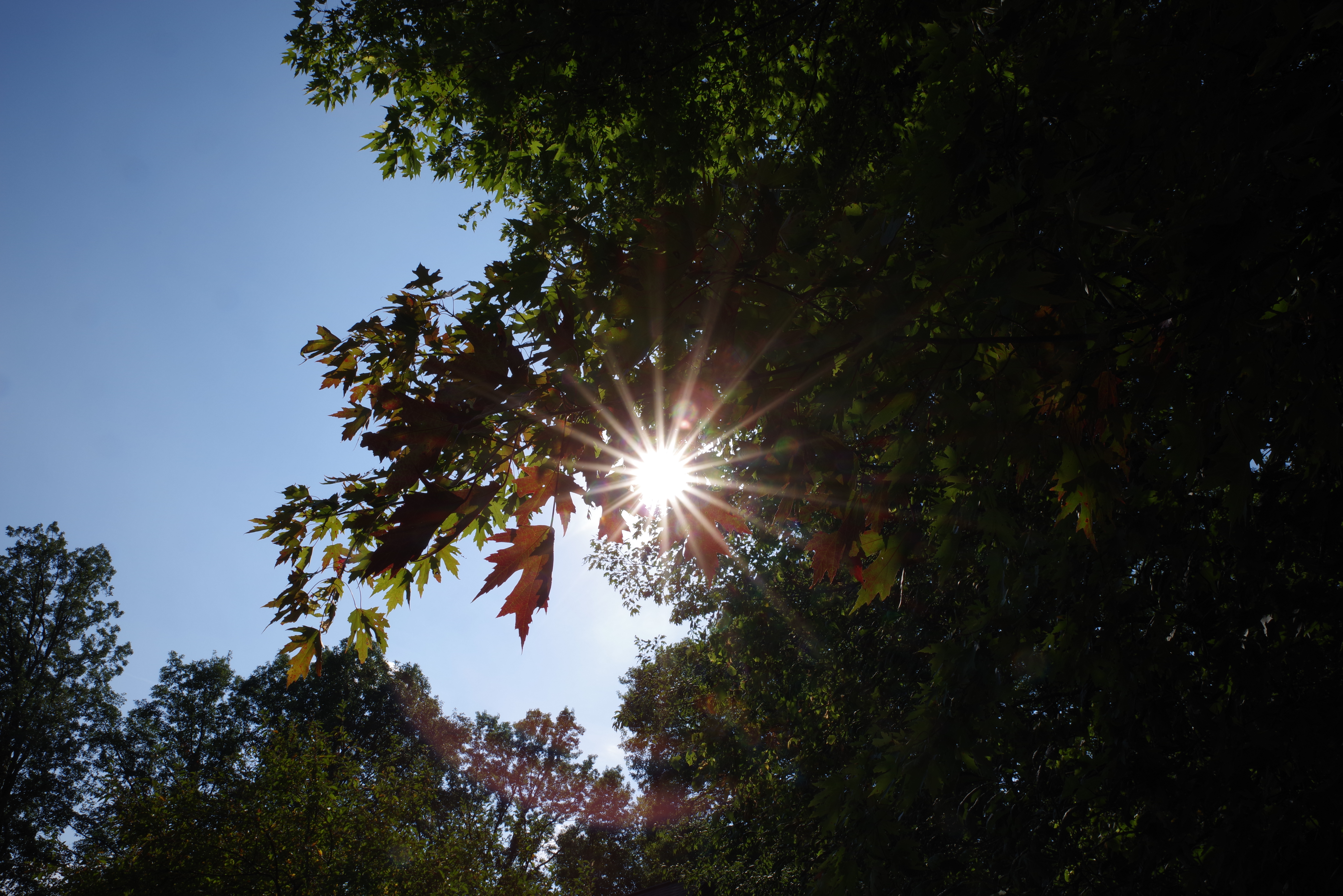 Sample images from the Pentax-D FA 24-70mm f/2.8 ED SDM WR