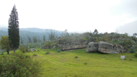 grassy landscape with a tall, thin tree and a rock shelter