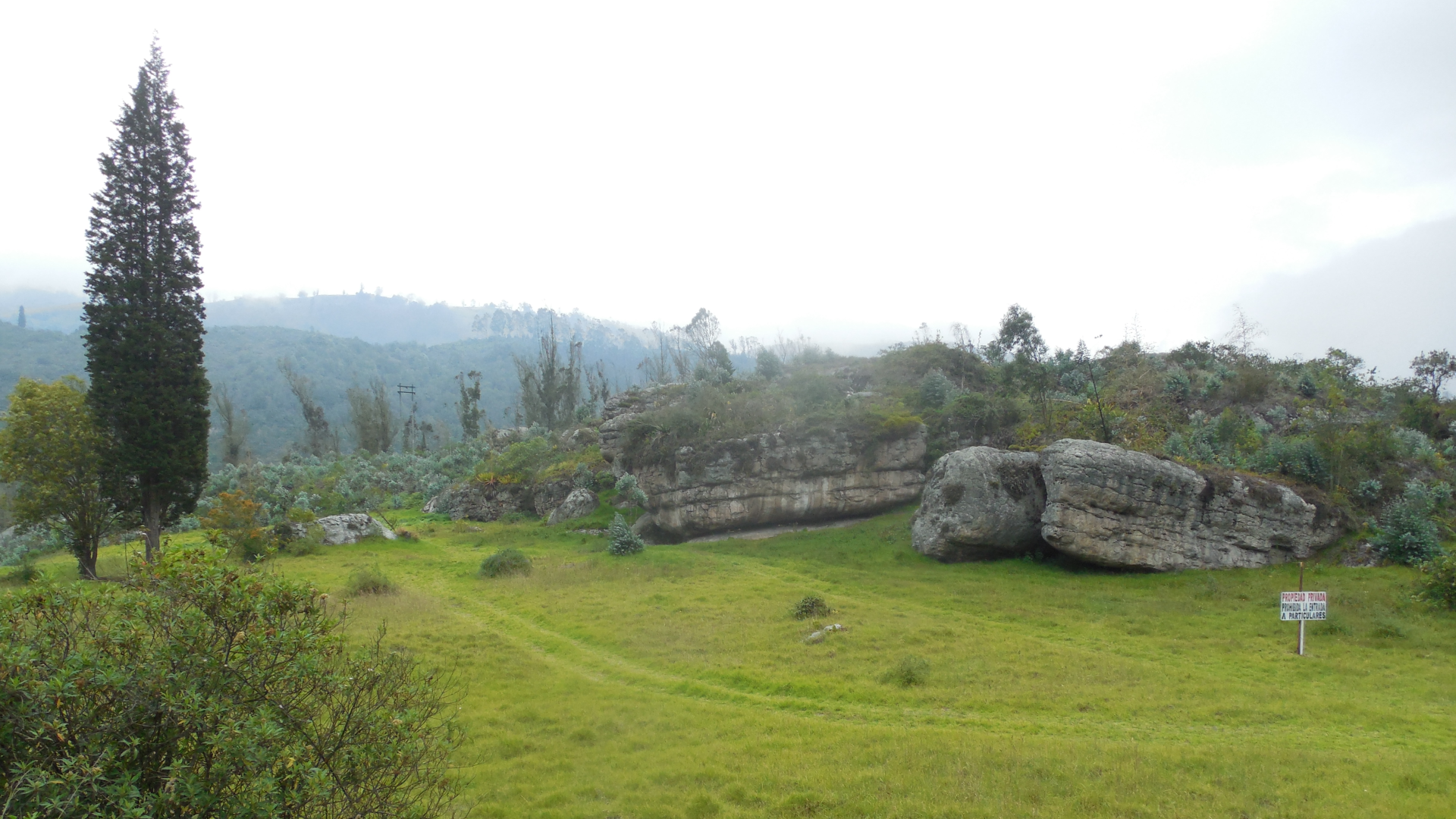 grassy landscape with a tall, thin tree and a rock shelter