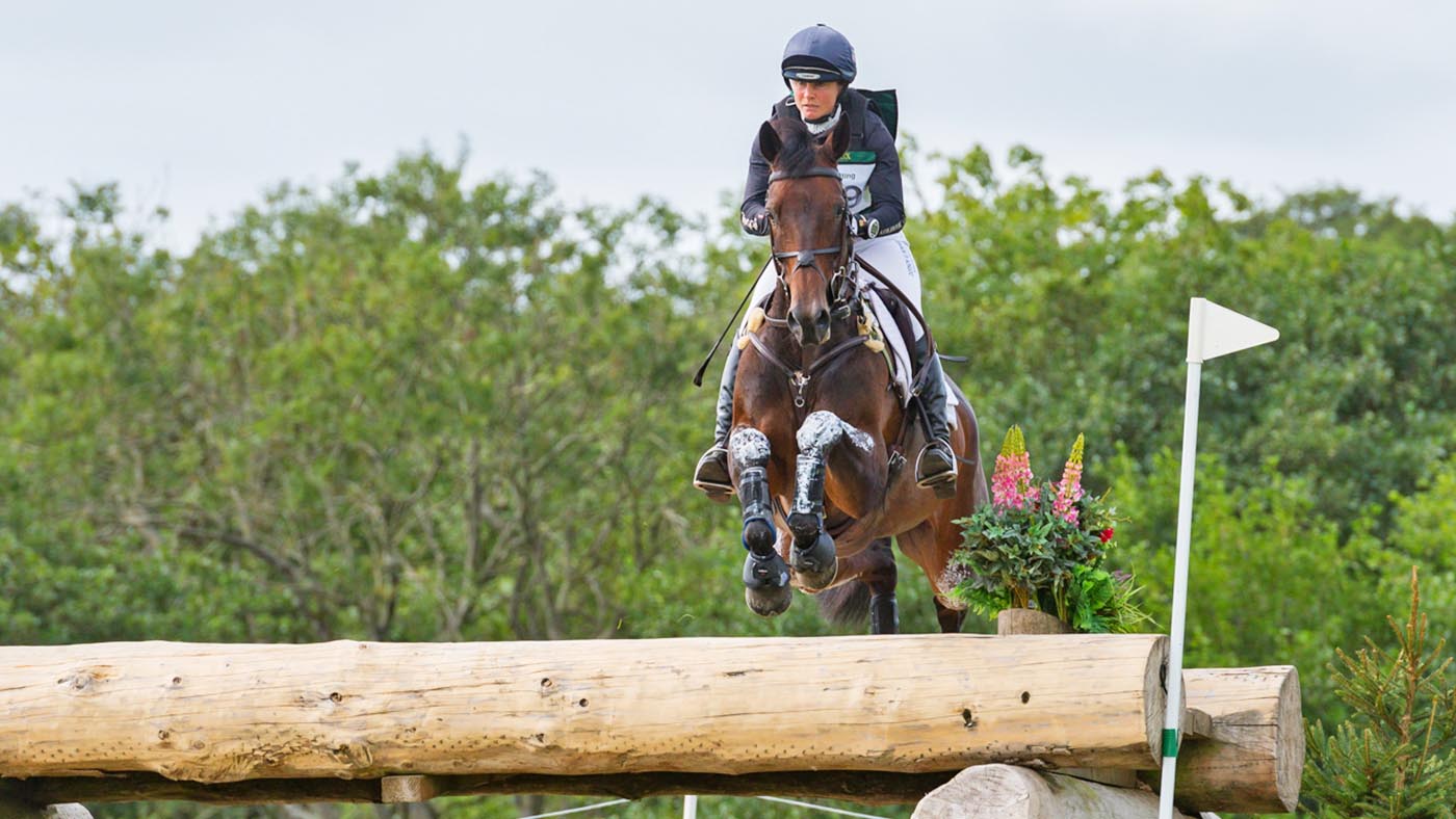 PIGGY MARCH RIDING BROOKFIELD QUALITY.