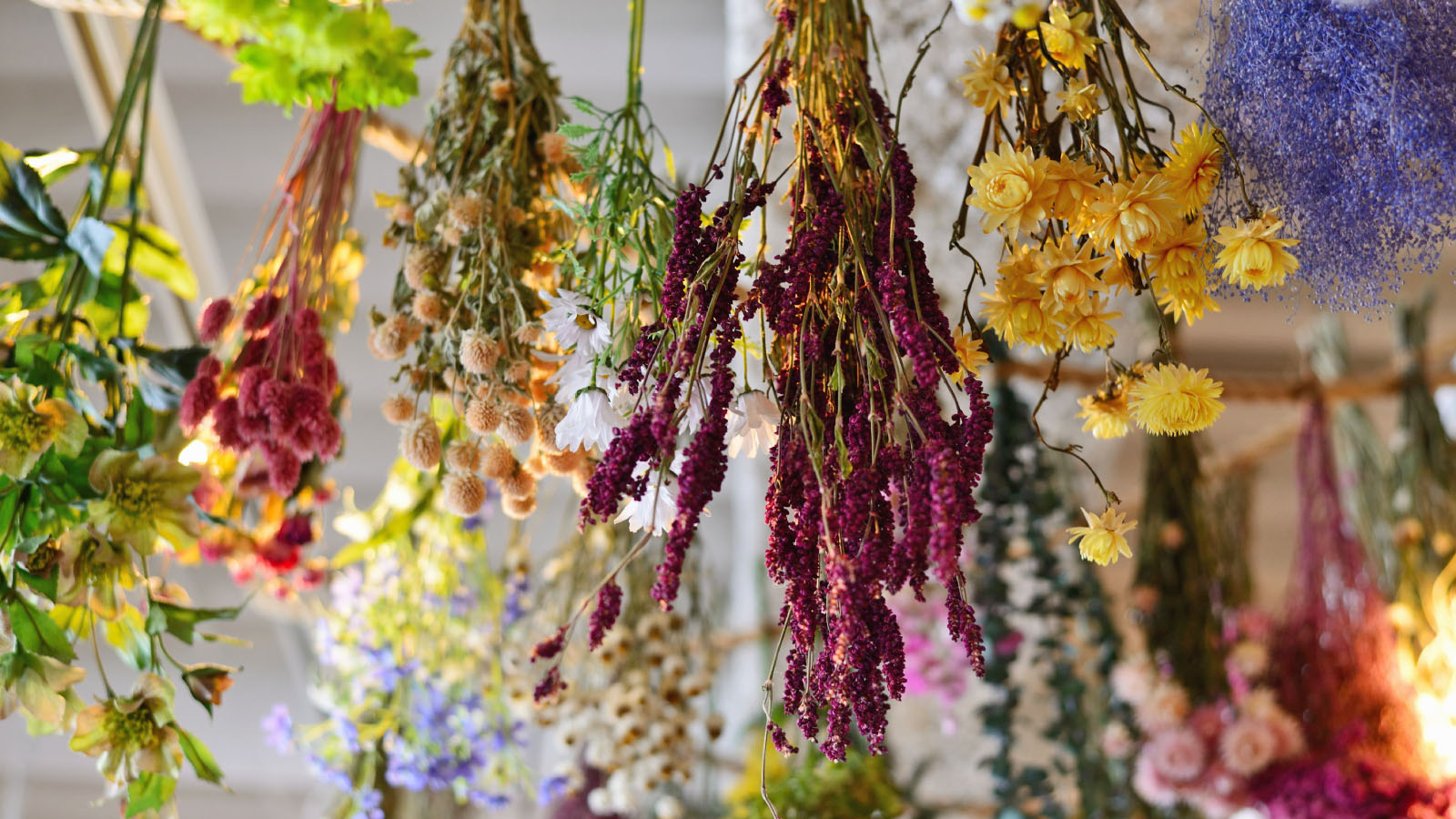 A variety of flowers are hanging upside down to dry out