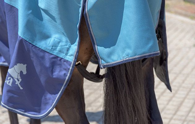Fieldmasta Lightweight Turnout Rug review