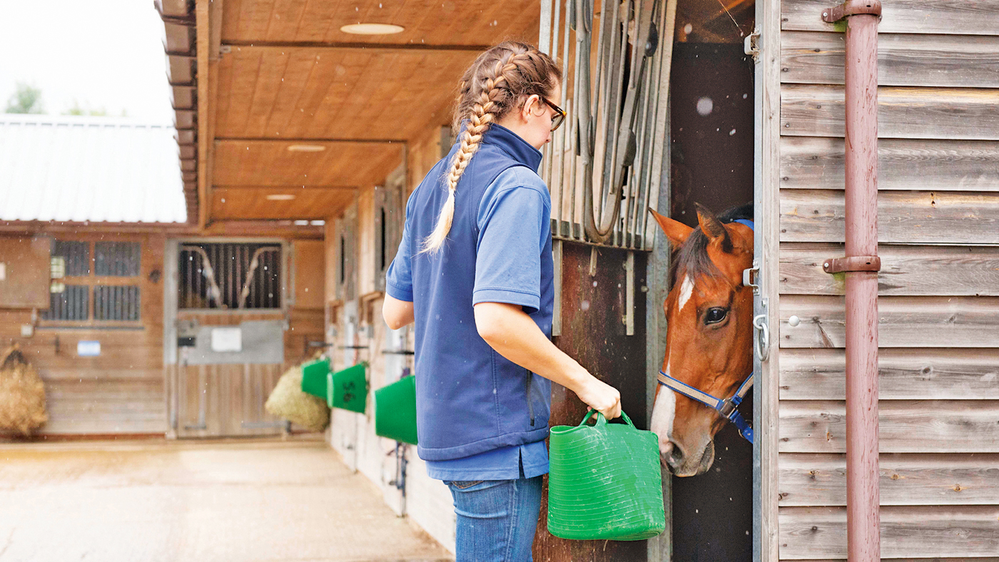 HAH300.vet_.feeding_bell_equine_ti_archive.jpg