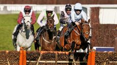 Honeysuckle racehorse CHELTENHAM, ENGLAND - MARCH 16: Rachael Blackmore riding Honeysuckle clear the last to win The Unibet Champion Hurdle Challenge Trophy at Cheltenham Racecourse on March 16, 2021 in Cheltenham, England. Sporting venues around the UK remain under strict restrictions due to the Coronavirus Pandemic as Government social distancing laws prohibit spectators inside venues resulting in events being held behind closed doors. (Photo by Alan Crowhurst/Getty Images)