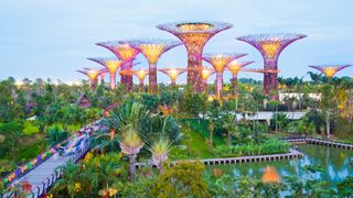 A view of the Supertree Grove at Singapore's Gardens by the Bay