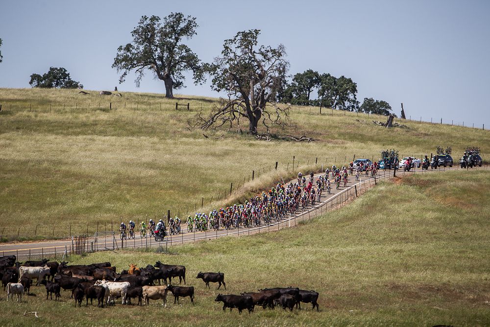 Scenery along the stage 3 route of the 2015 Tour of California.