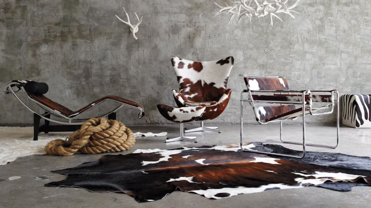 room with cow print chairs