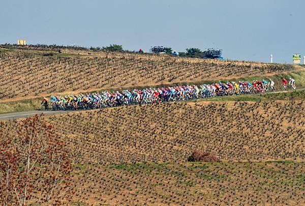 The peloton with some lovely French scenery.