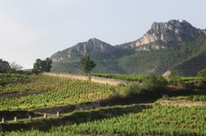 Domaine du Pas de l&rsquo;Escalette, Terrasses du Larzac