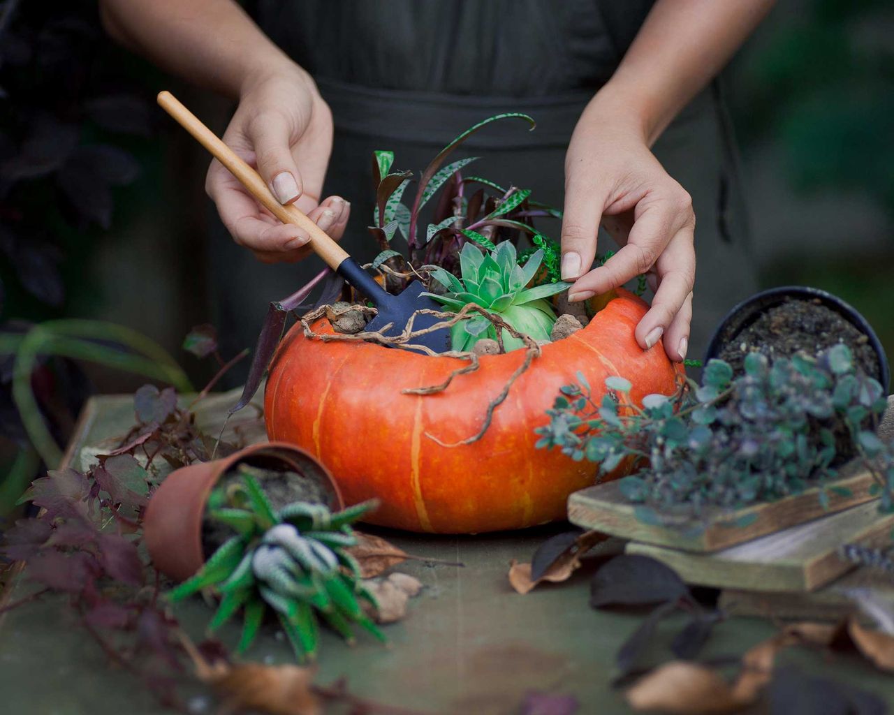 What to do with a pumpkin after Halloween: 8 clever ideas to reduce