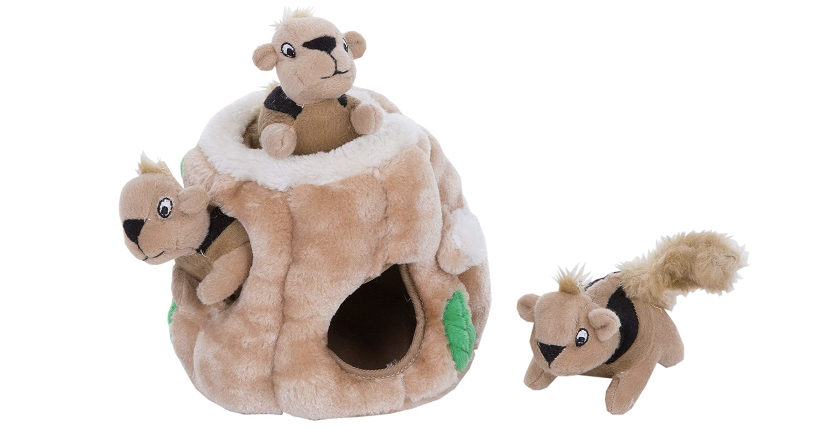 Puppy toys: Hide And Squeak Squirrel