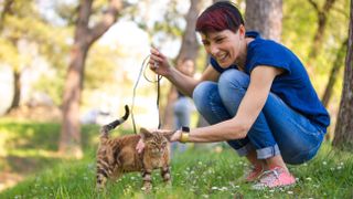 Woman takes cat for a walk in the park