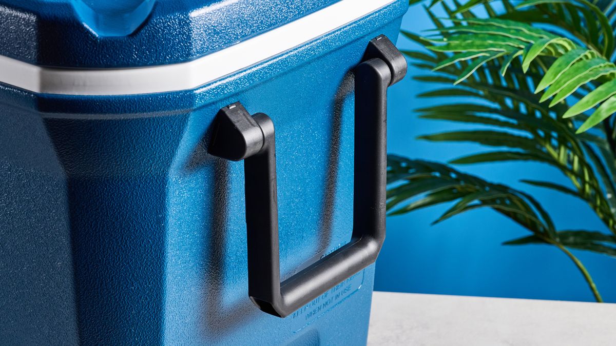 the coleman classic cooler coleman xtreme cooler in 54-quart in blue with a fish ruler and drinks holders on the lid and a drain tap