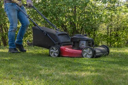 How to get rid of weeds and stop them from spreading | Gardeningetc