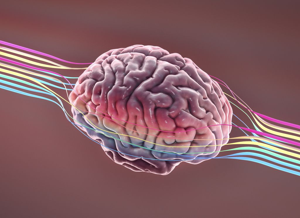TikTok brain, explained | The Week