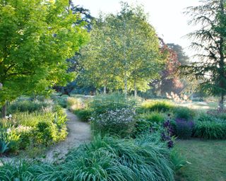 tree lined stroll garden with naturalistic planting