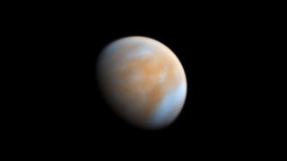 A false color image of the planet Venus.