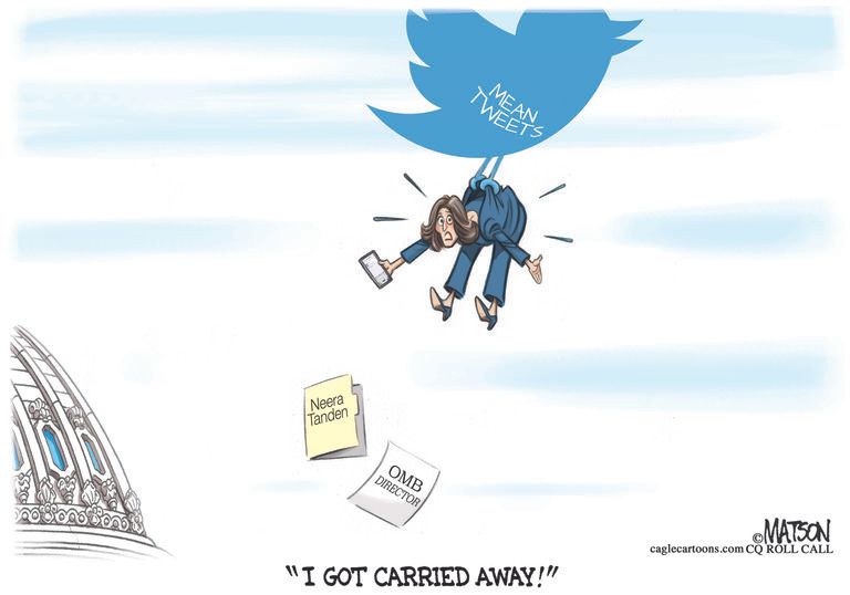 Political Cartoon U.S. neera tanden twitter