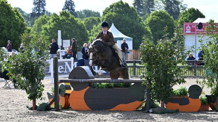 Maisie Kerry Oates and Cadlanvalley Royal Bronze jump to victory in the 2026 Windsor M&M WHP championship