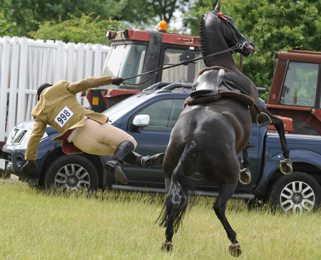 Mid Herts Show 28 07 2013