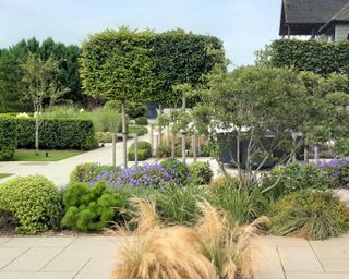 contemporary parterre garden with mixed planting in a formal garden design