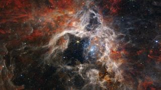 In this mosaic image, Webb's Near-Infrared Camera (NIRCam) shows the Tarantula Nebula star-forming region in a new light, including tens of thousands of previously hidden young stars. The image is credited to NASA, ESA, CSA, STScI, and the Webb ERO Production Team.