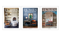 Subscribe to Homes &amp; Gardens magazine