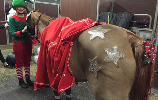 Rider xmas traditions - web feature