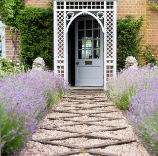 A pathway with lavender leading up to the house