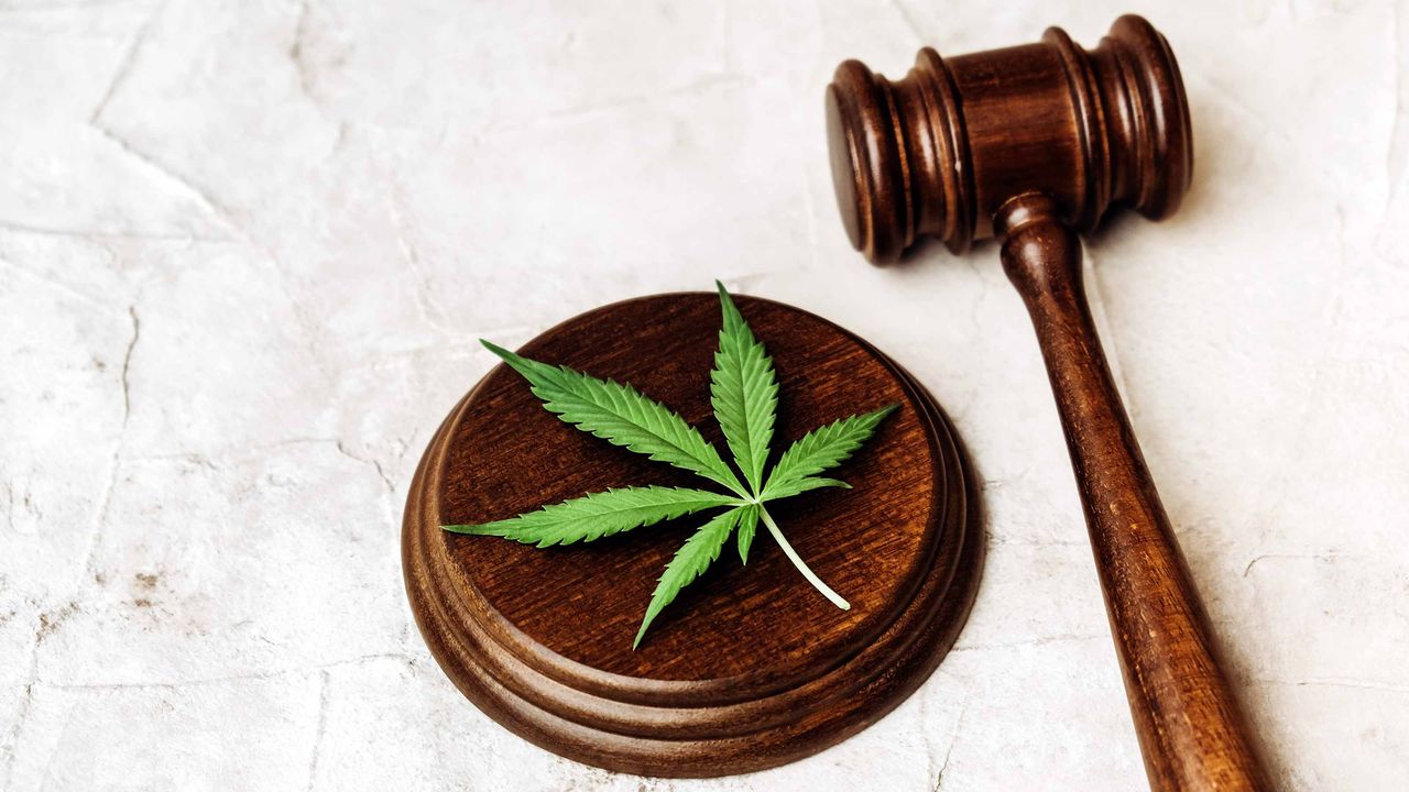 gavel with marijuana leaf on sound block