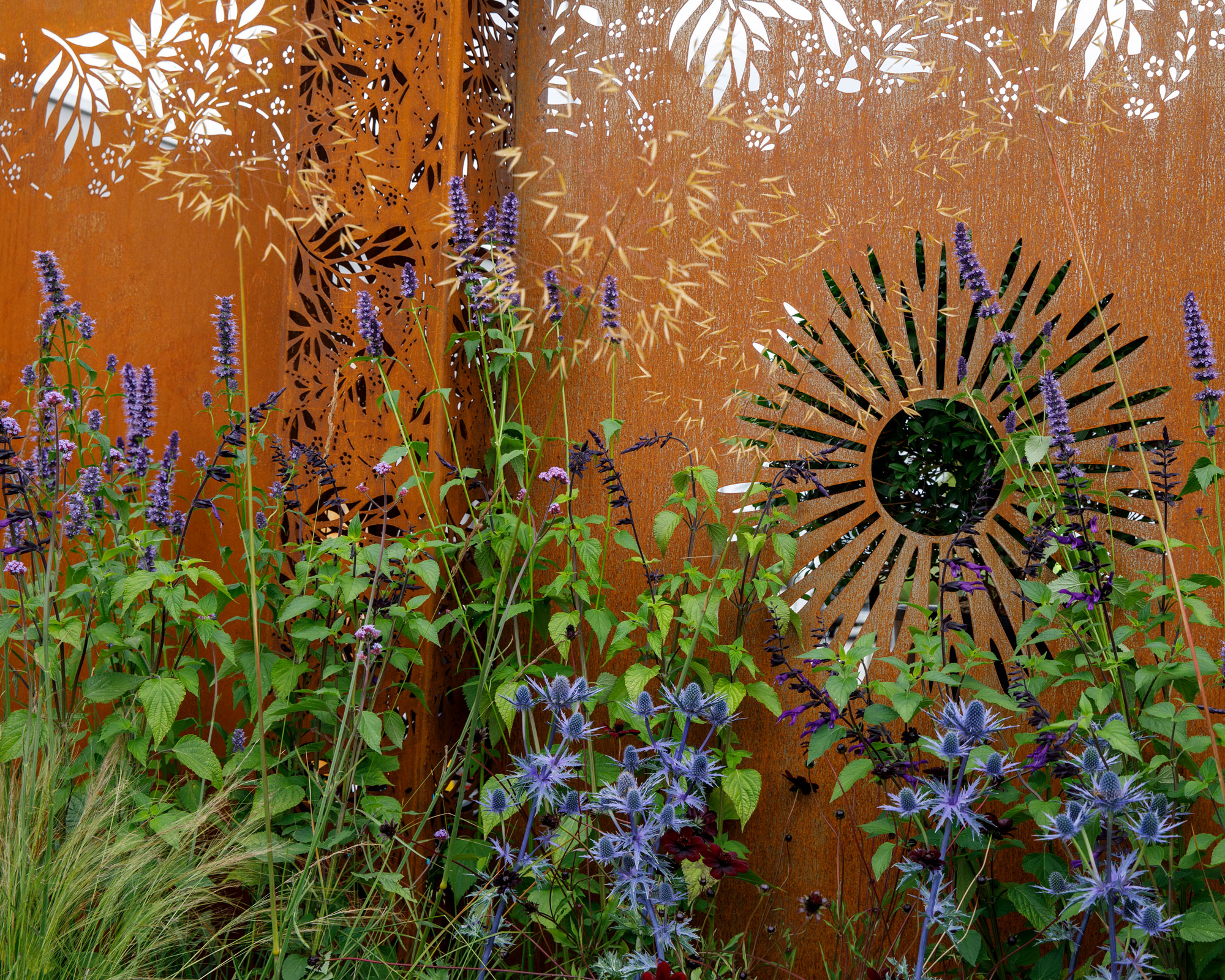 decorative privacy screen made of Corten steel with sunburst design, with blue salvia flowers in the foreground