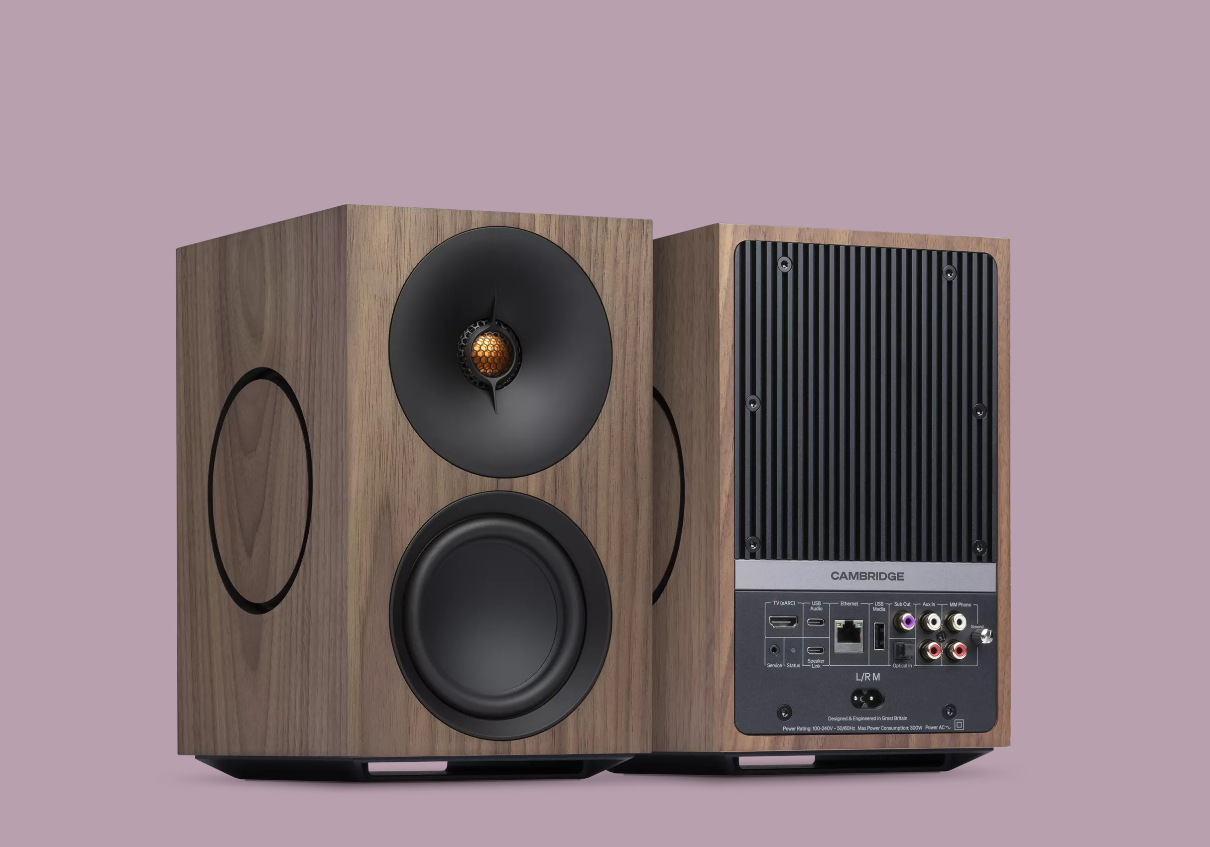 Cambridge Audio L/R M bookshelf speakers