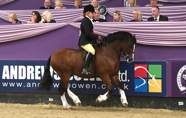 HOYS 04 10 2018
