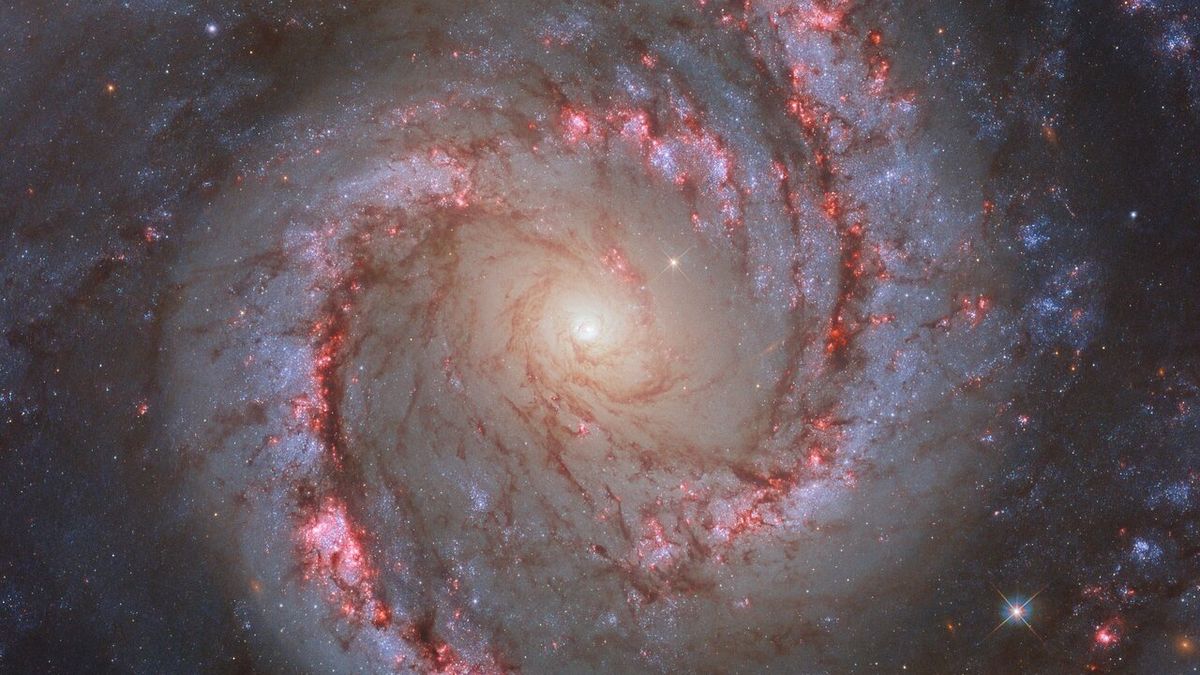 Teleskop Hubble’a widzi galaktykę spiralną tańczącą w konstelacji Dorado (zdjęcie)
