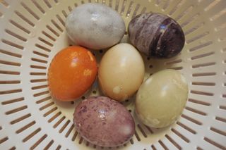 easter eggs, natural dyes