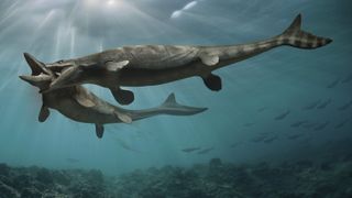 Two mosasaurs — prehistoric sea reptiles — fight underwater.