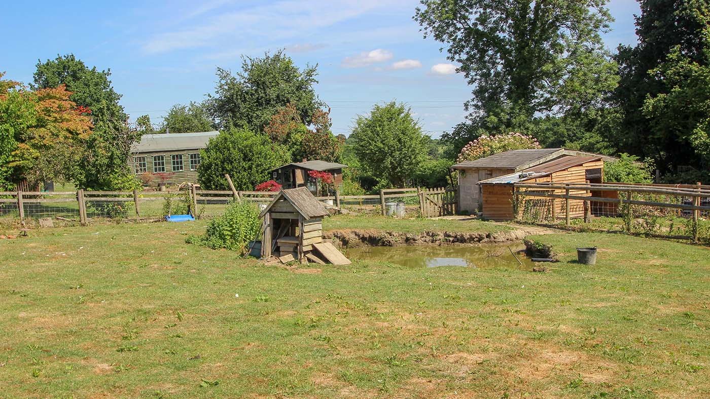 Greenwood Farm - duck pond and hen house