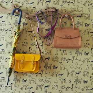 yellow wallpaper with varying breeds of dog printed, bags, dog lead and umbrella hanging on wooden pegs