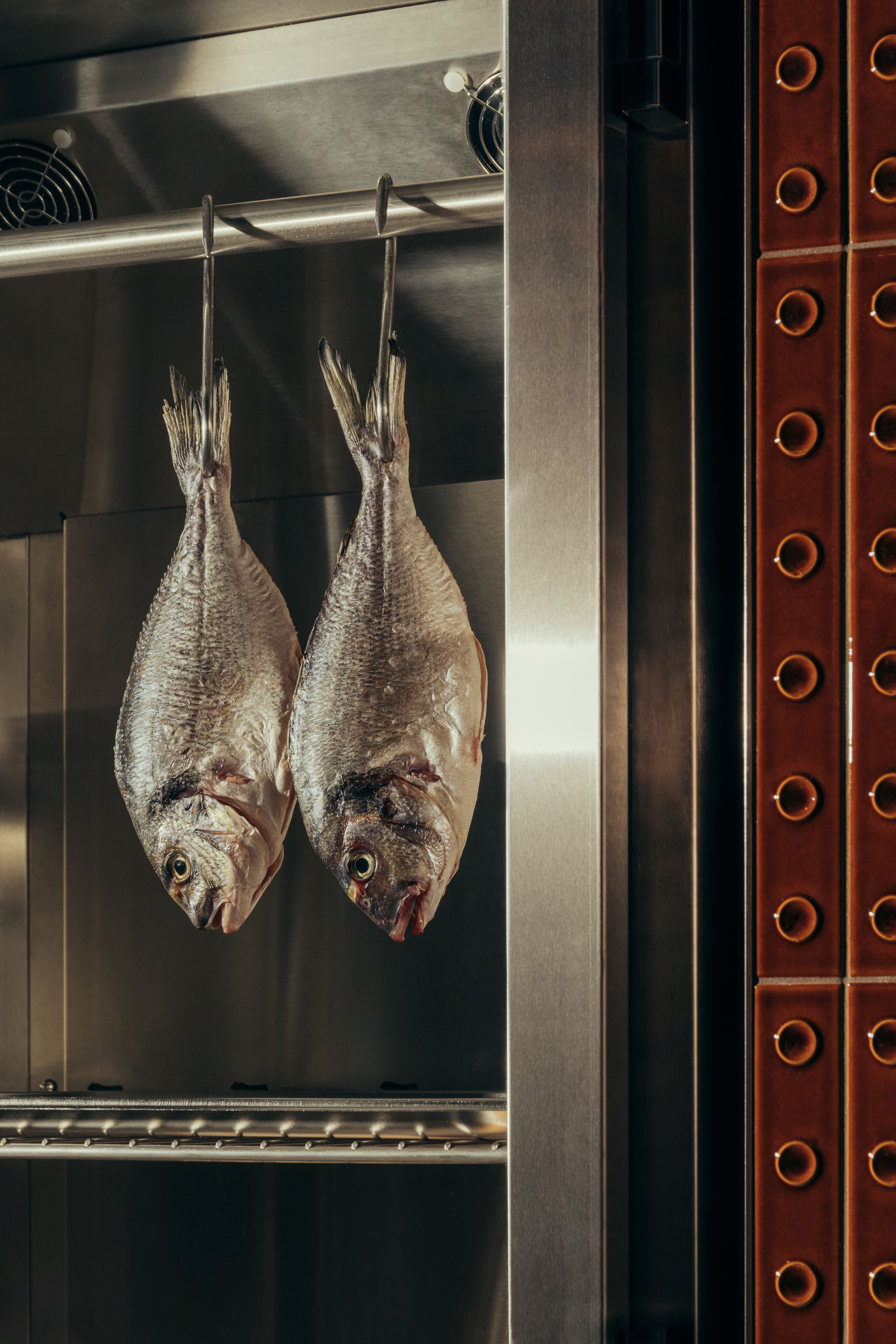 lyla restaurant rooms edinburgh review