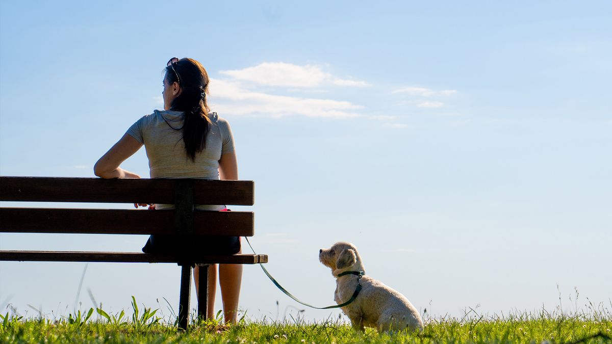 Woman sat on bench in park with small dog