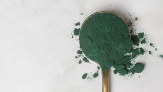 Spirulina on a golden metal spoon