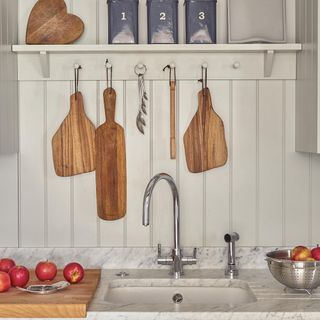 dirtiest kitchen appliance with chopping boards apples and kitchen sink