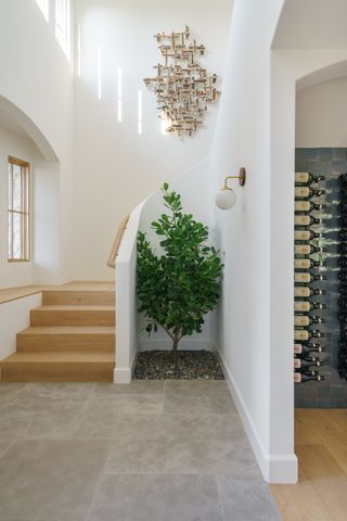 A stairwell with indoor tree