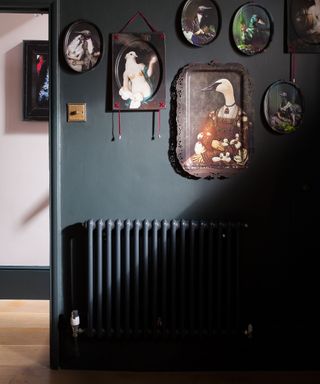 A variety of prints and pictures on a dark green wall and view to the hallway in a Georgian townhouse.