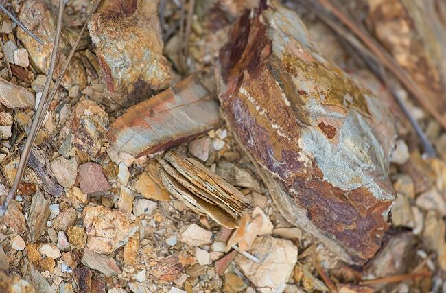 schiste wines, st-chinian